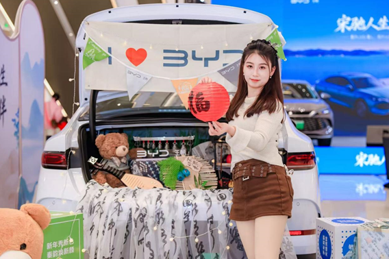 家·智新境界——王朝家庭智电生活全面进化