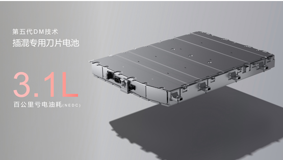 “6出新主流·悦行越出彩”——都市出行焕新，海洋四舰齐发登陆济南